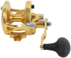 Avet JX 6.0 G2 1 Speed Reel - Gold (No Glide Plate) -Angling Sales Store avet jx 6 0 g2 rh gd ngp reel 27109.1670274062