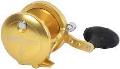 Avet JX 6.0 G2 1 Speed Reel - Gold (No Glide Plate) -Angling Sales Store avet jx 6 0 g2 rh gd ngp reel 82536.1670274063