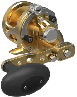 Avet SXJ G2 6/4 2-Speed Reel Gold