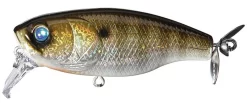 Deps Buzzjet Jr Lure -Angling Sales Store deps buzzjet jr lure 83104.1650821517