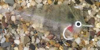 Enrico Puglisi Mangrove Baitfish Pinfish Saltwater Fly 1 Enrico Puglisi Mangrove Baitfish Pinfish Saltwater Fly