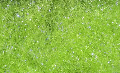 Hareline Dubbin Ice Dub - UV Light Olive 1 Hareline Dubbin Ice Dub - UV Light Olive