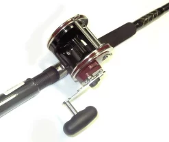 Penn Senator Combos 8 Penn Senator Combos -Angling Sales Store penn senator combos 29142.1650814923