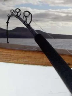 Phenix PHD838MH Deck Hand Black Diamond Hybrid Offshore Rod -Angling Sales Store phenix phd838mh deck hand black diamond hybrid offshore conventional rod 02728.1651077121