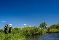 Thomas & Thomas Lotic Series Fly Rods -Angling Sales Store thomas thomas lotic series fly rods 25489.1651330459