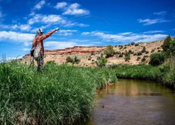 Thomas & Thomas Lotic Series Fly Rods -Angling Sales Store thomas thomas lotic series fly rods 43205.1651330459