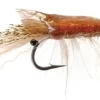 Umpqua 15611 Ultra Shrimp Popovic