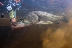 Van Staal VR Spinning Reels 13 Van Staal VR Spinning Reels -Angling Sales Store van staal vr series spinning reels 55010.1651333665