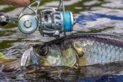 Van Staal VR Spinning Reels 12 Van Staal VR Spinning Reels -Angling Sales Store van staal vr series spinning reels 64380.1651333665