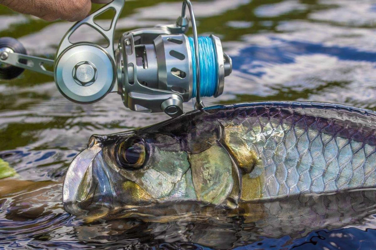 Van Staal VR Spinning Reels 6 Van Staal VR Spinning Reels - Image 6